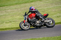 Middle Group Red Bikes